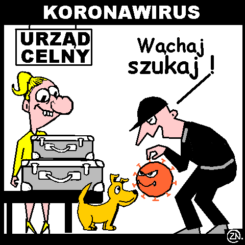 Covid 19 humor | Niepoprawni.pl
