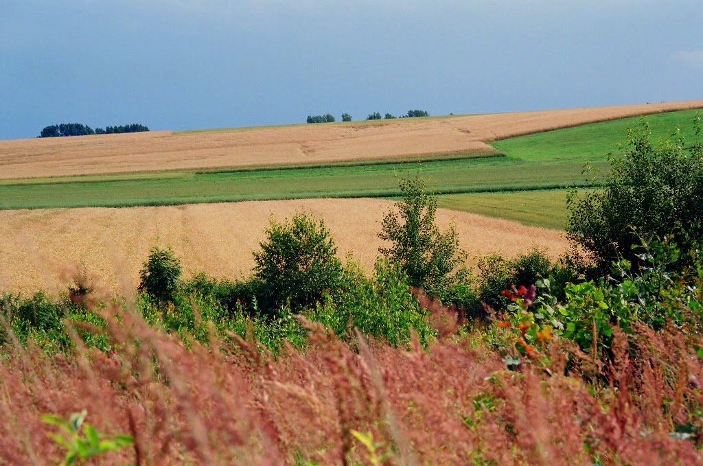 Rural restless, uneventful village