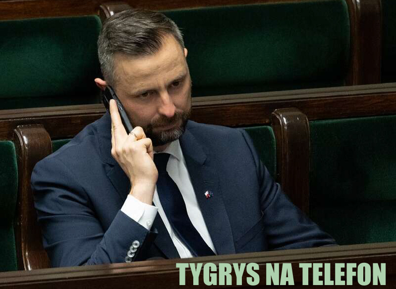 TYGRYS NA TELEFON