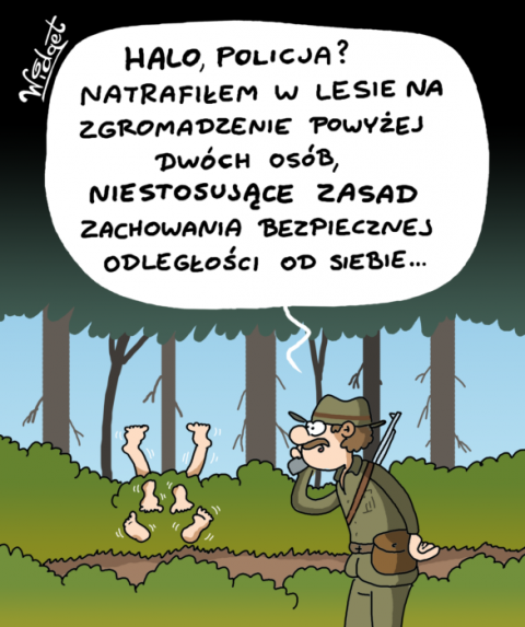 seks, zakaz wstępu, las, leśniczy, przepisy, zostańwdomu, satyra, humor, rysunek satyryczny, galeriawidgeta, widget