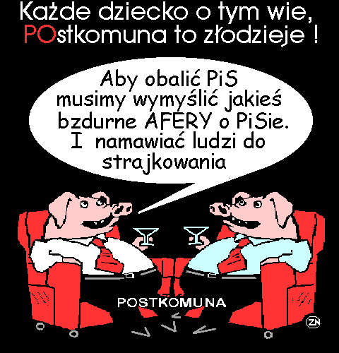 Afery PIS 2019