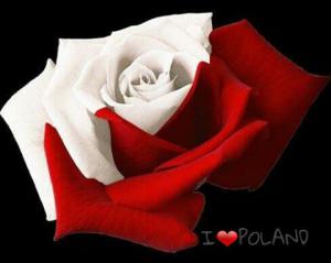 kocham CIĘ POLSKO