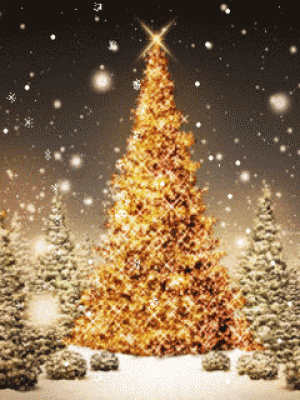 CICHA NOC....PIĘKNA NOC......