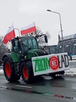 Zielony nieład