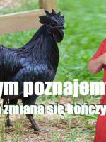 dobra zmiana