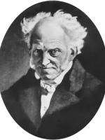 Die Welt als Wille und Vorstellung