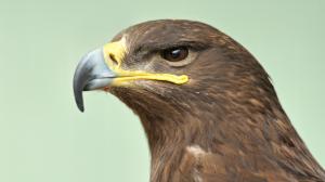 Obrazek użytkownika sarmata1981