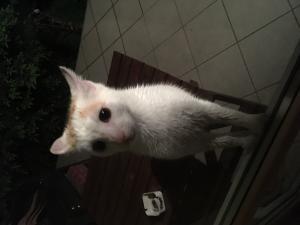 Obrazek użytkownika Bogumił