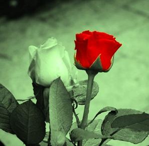 Obrazek użytkownika Sybilla