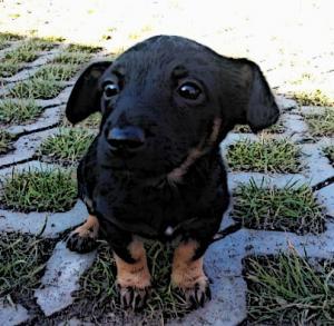 Obrazek użytkownika Niueste