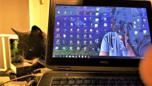 Obrazek użytkownika jazgdyni