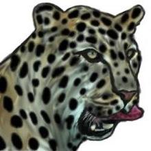 Obrazek użytkownika leoparda