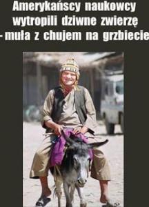 Obrazek użytkownika ktośtamcośtam