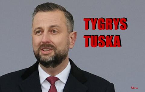 BEZWSTYDNY TYGRYS KOSINIAK-KAMYSZ