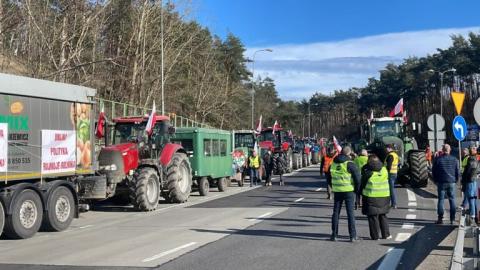 Obrazek użytkownika Maciej Krogulski