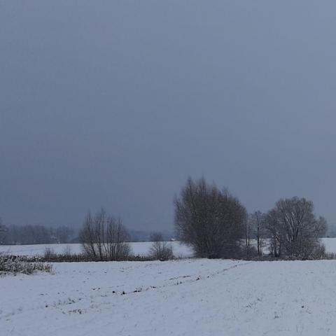 Obrazek użytkownika nie taka