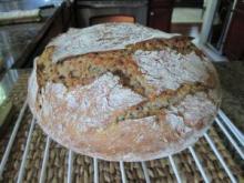 Obrazek użytkownika mikolaj