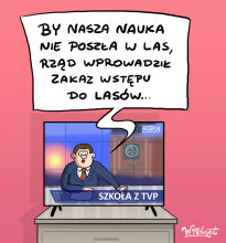 nauka, szkołaztvp, tvp, las, wiadomości, zakaz, rysunek satyryczny, widget, galeriawidgeta, satyra, humor