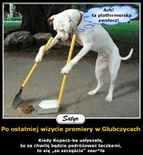 Pies sprząta po Kopacz-ce