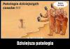 dzisiejsza patologia